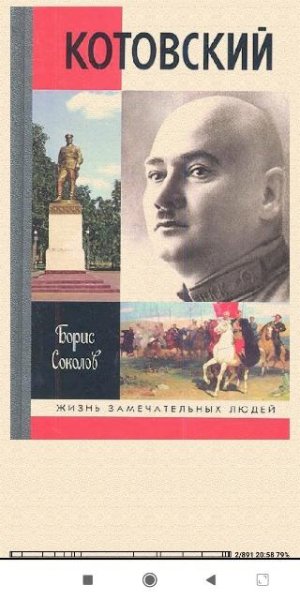 Борис Соколов. Котовский