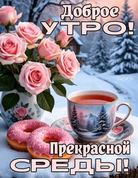 IMG 20260204 162720