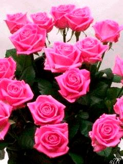 file_57436013