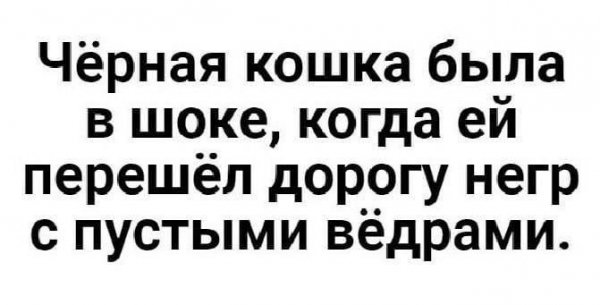 Чёрная кошка была в шоке