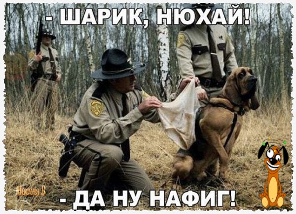 file_64948192