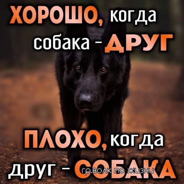 B307e294376e655effb5e9350c0a4576