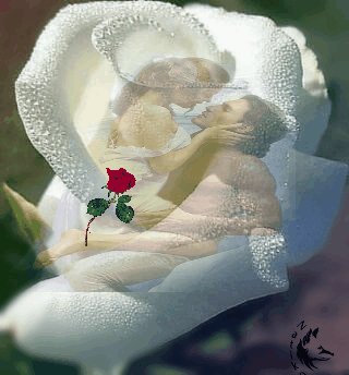 file_65448755