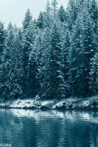 file_75679483