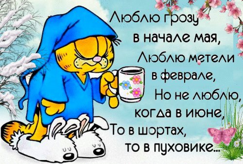 file_93409706