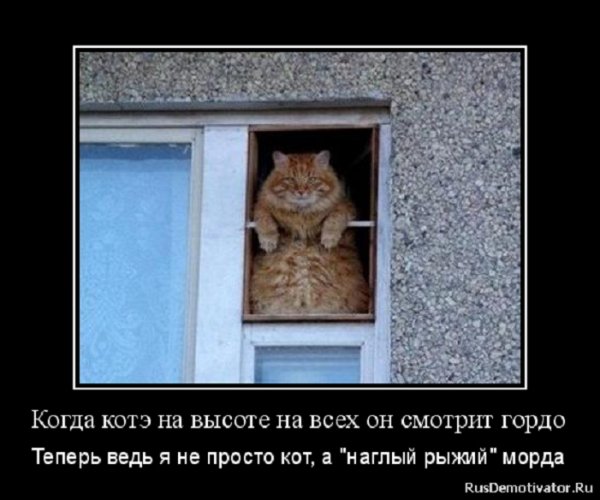 Вид с высоты птичьего полёта