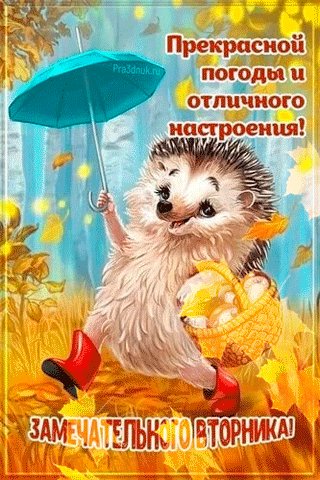 4b024cd36fca9c81b6c031429faa9c90