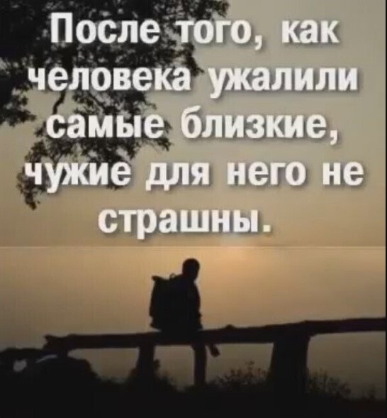 IMG 20260205 220724