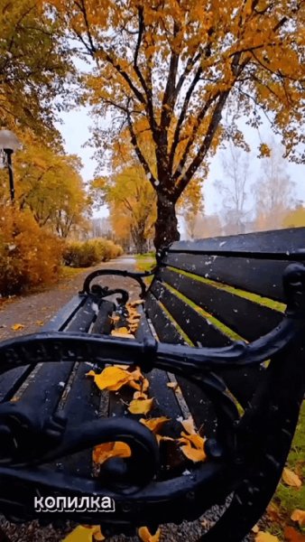 file_95178494