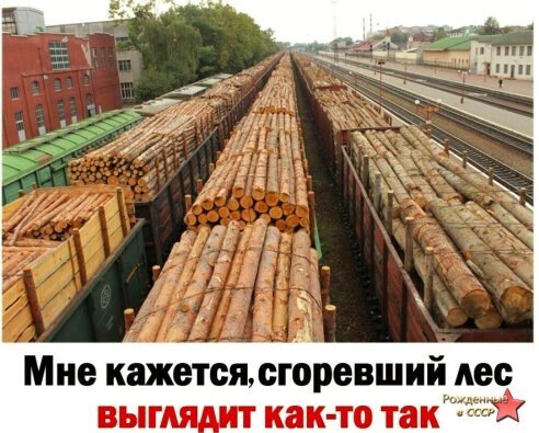afdef0731df34b7209fc7013db1e