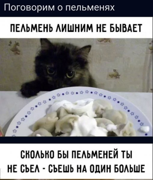 FB IMG 1775500618584