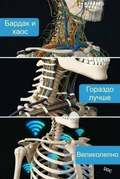 file_103249113
