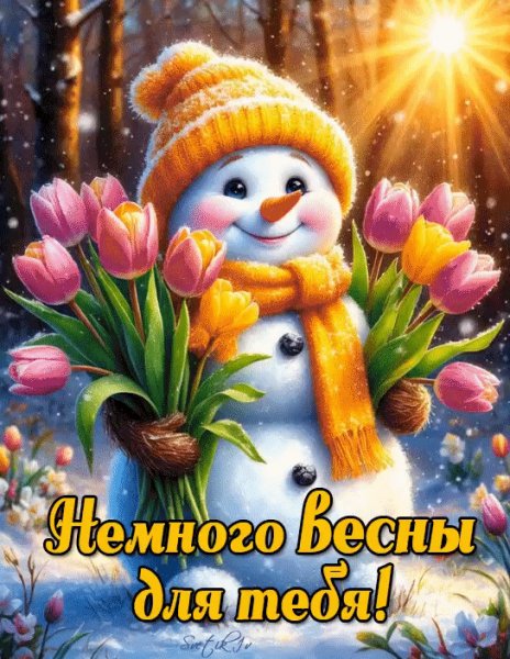 IMG 20260215 002544