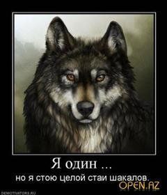 Hermann Hesse-wolf