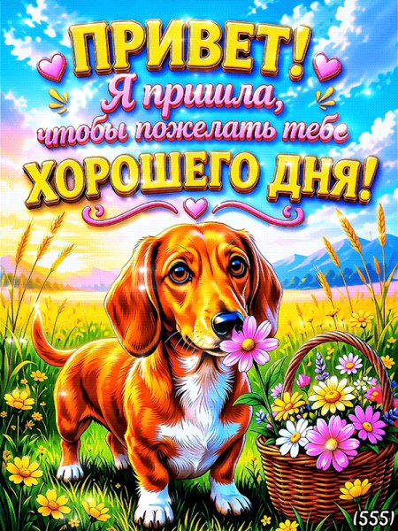 Привет