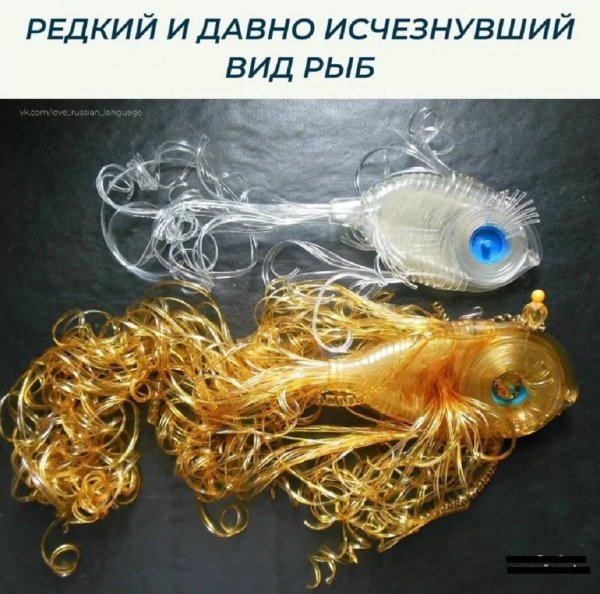 p.600.600.0
