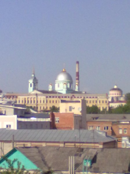 file_31001501
