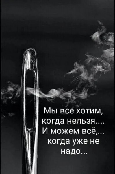 file_101043774