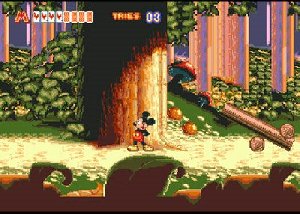 World of Illusion Starring Mickey Mouse Donald Duck