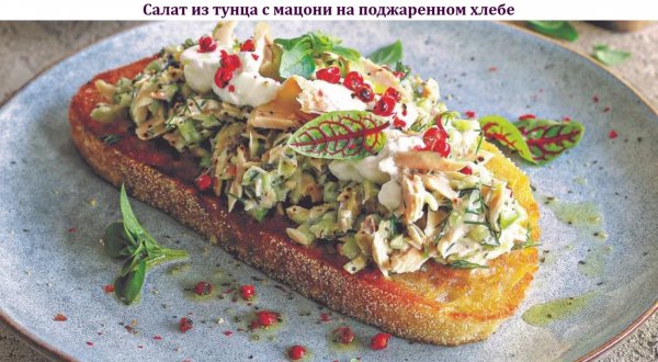 Салат из тунца с мацони на поджаренном хлебе