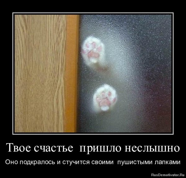Твоё счастье пришло неслышно...