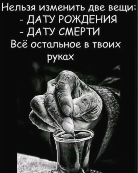 file_98093445