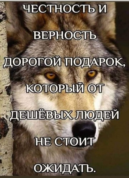 IMG 20210607 203815