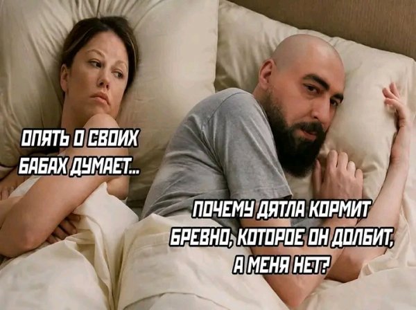 file_103322608