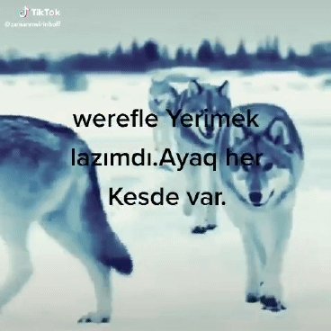 c6888428f8d3a9ffe5a661ffa 1
