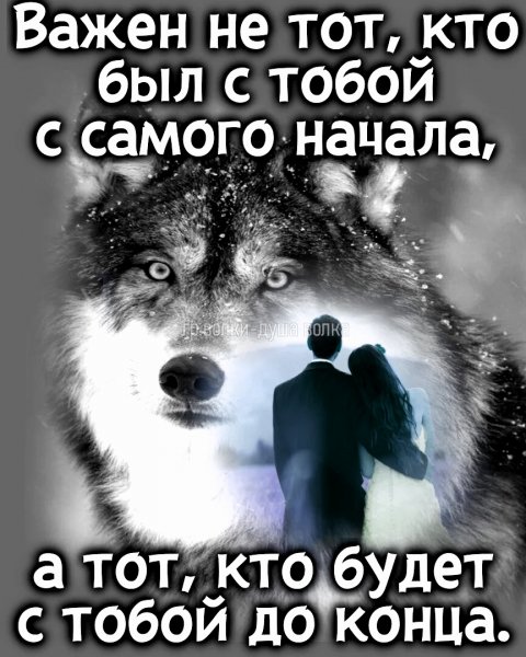 file_101777035