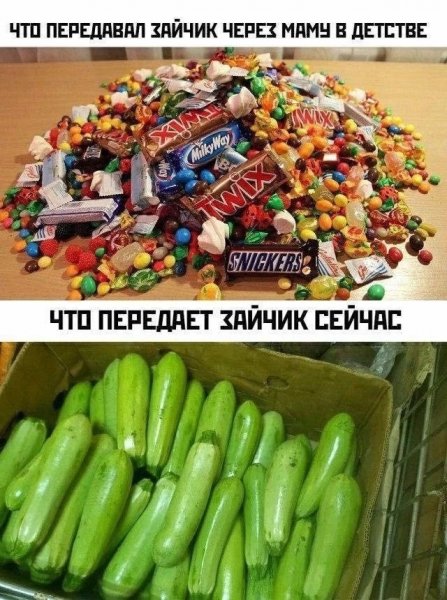 file_103196984
