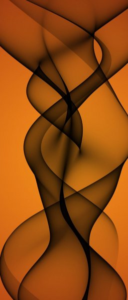 file_91479648
