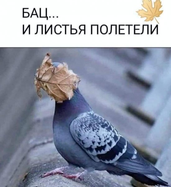 FB IMG 1756493247573