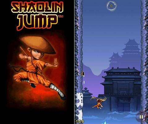 Shaolin Jump