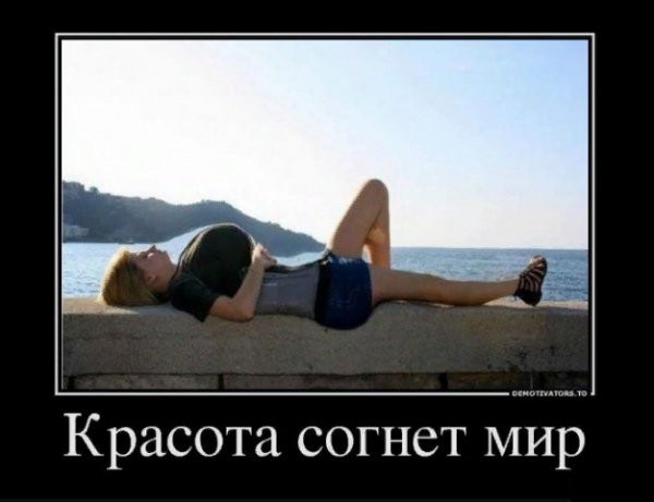 красота