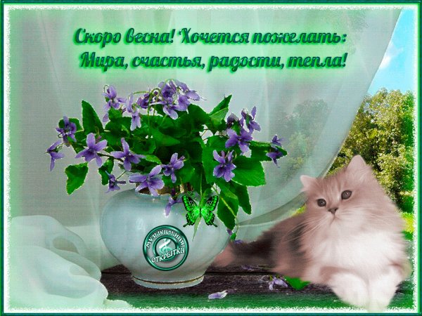 мило)