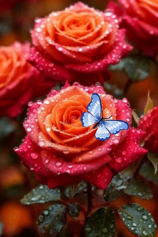 file_100722265