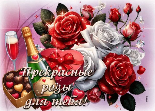 IMG 20250303 222509