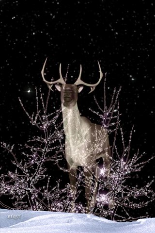 file_54526772