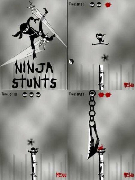 Ninja Stunts 240x400 Asha305
