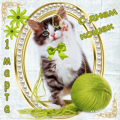 день кошек