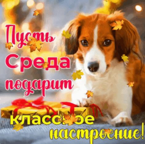 IMG 20241019 233617