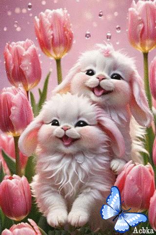 file_96980148