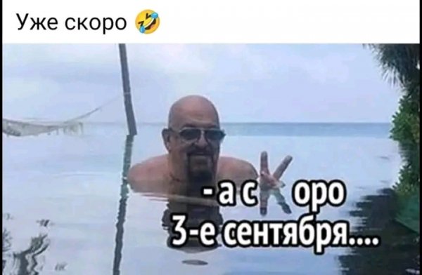 file_103185029