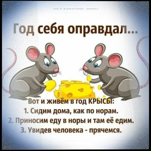 Год себя оправдал