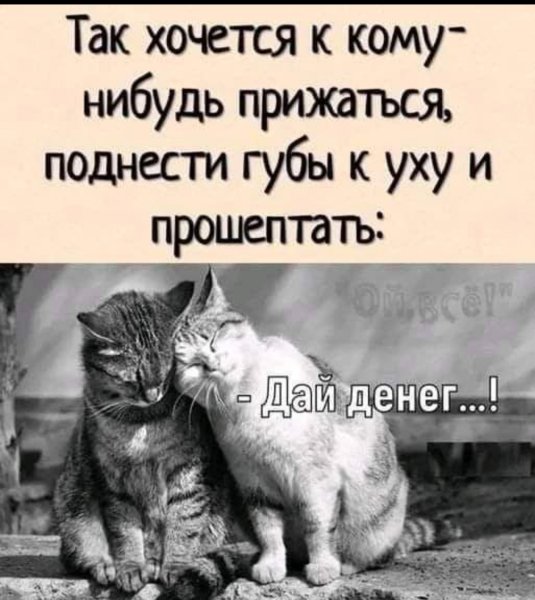 Screenshot 2024-02-19-03-37-26-882 com.facebook.katana-edit