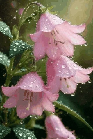 file_102233567