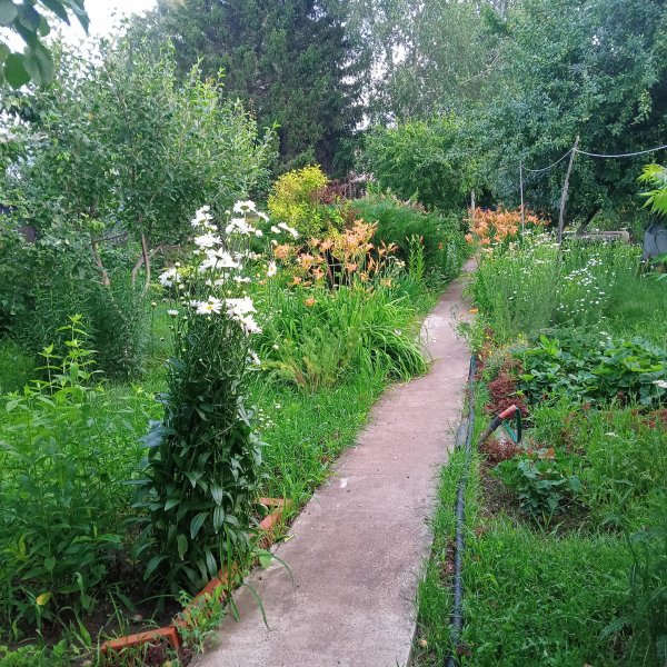 IMG-20260701-WA0028