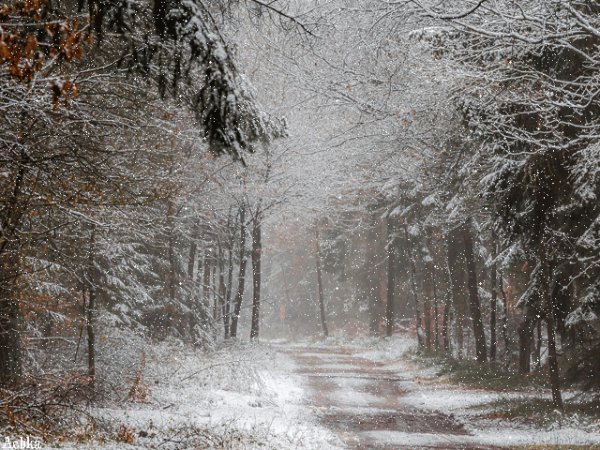 file_94935716