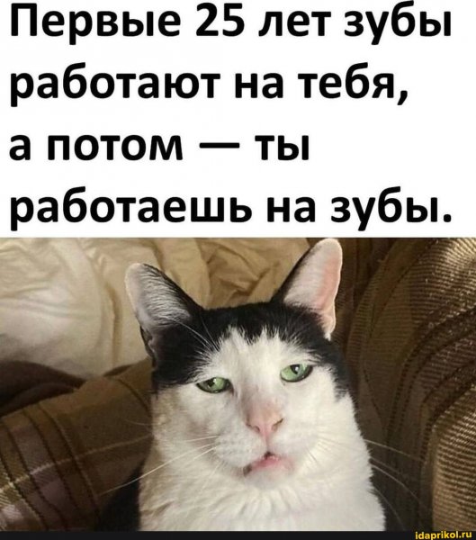 d0490ac346f72c82f4548feb9249c9aa5d5c36fb3 1
